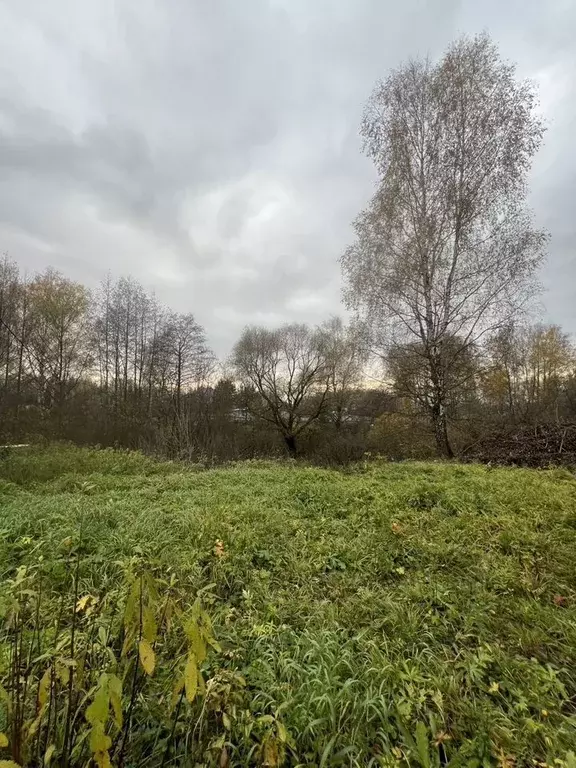 Участок в Московская область, Ступино городской округ, д. Акатово 2 ... - Фото 1