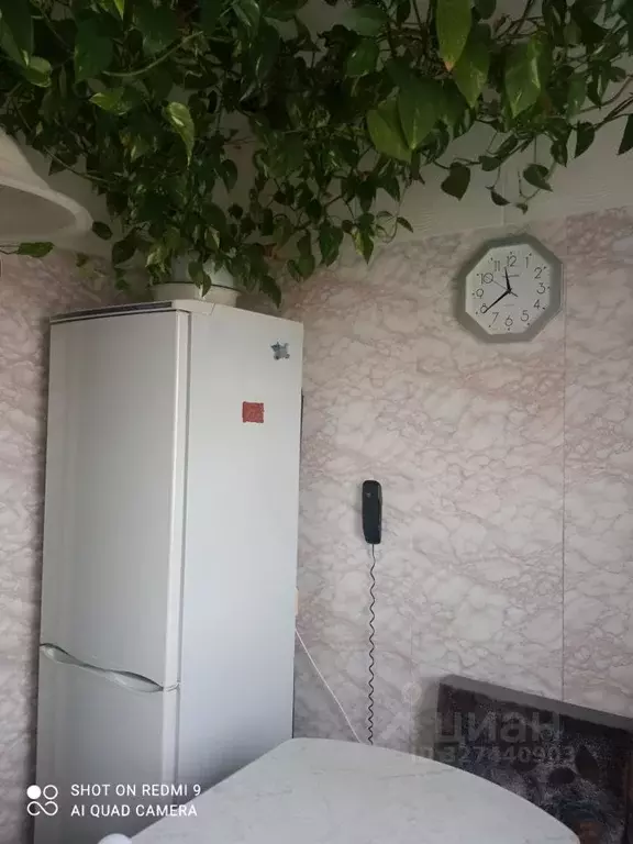 2-к кв. Санкт-Петербург, Санкт-Петербург, Петергоф Чебышевская ул., ... - Фото 1