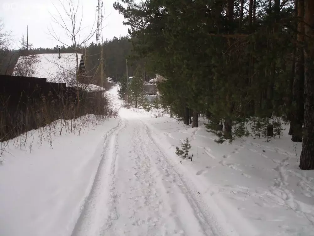 Участок в Красноярск, СНТ Победа, улица Бригада № 8 (9 м) - Фото 1