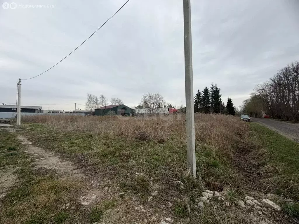 Участок в Калининградская область, Гурьевский муниципальный округ, ... - Фото 2