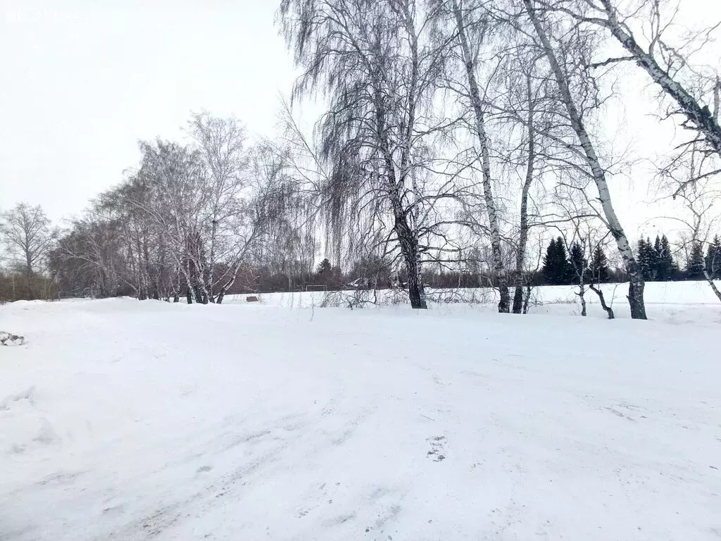 Дом в село Каширино, Пролетарская улица, 4 (63.7 м) - Фото 2