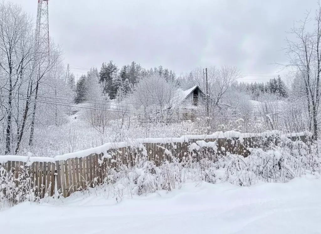 Участок в Карелия, Прионежский район, Шуйское с/пос, Шуйская ст. ул. ... - Фото 1