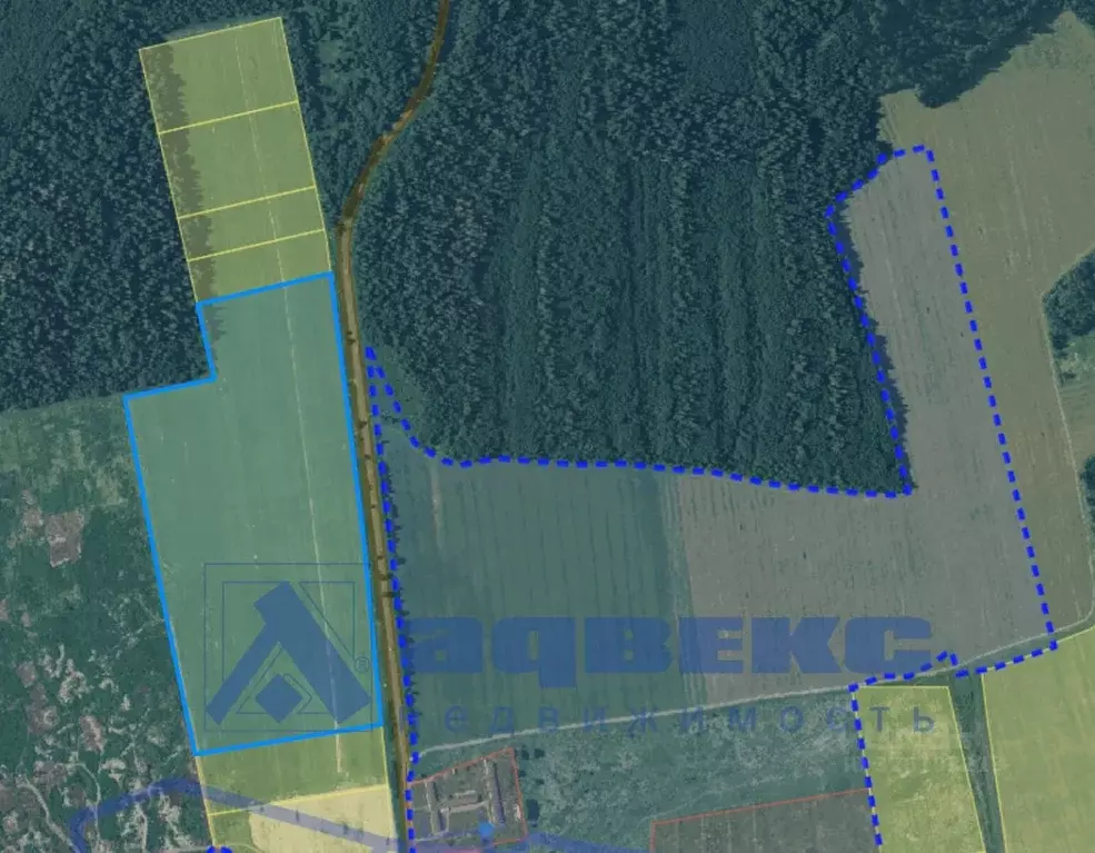 Участок в Ленинградская область, Волосовский район, Клопицкое с/пос, ... - Фото 2