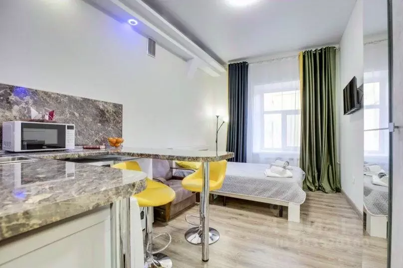 1-к кв. Санкт-Петербург Пушкинская ул., 18 (21.0 м) - Фото 1