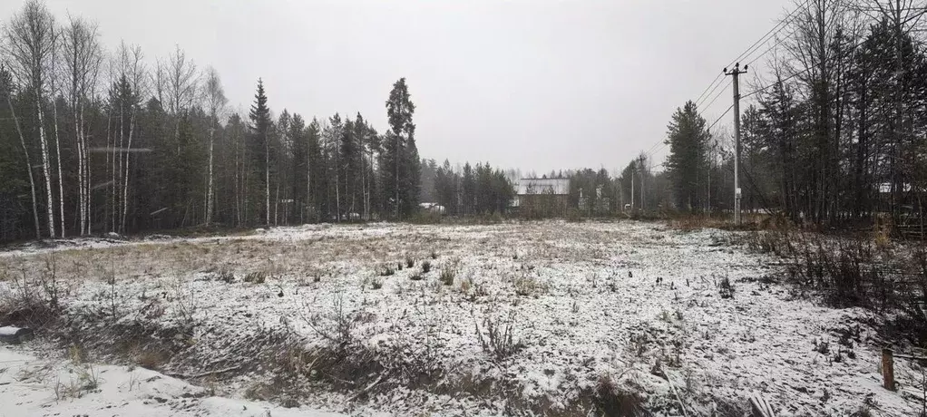 Участок в Коми, Сыктывкар городской округ, Верхняя Максаковка пгт, ... - Фото 0