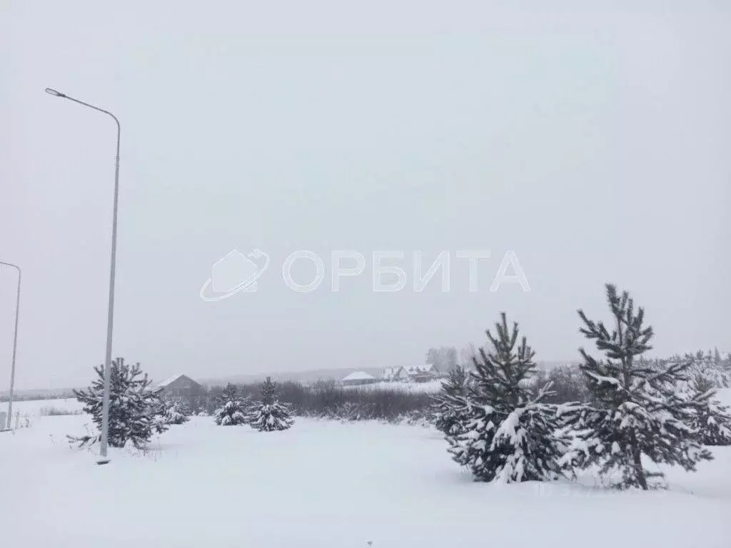 Участок в Тюменская область, Тюменский муниципальный округ, ... - Фото 2