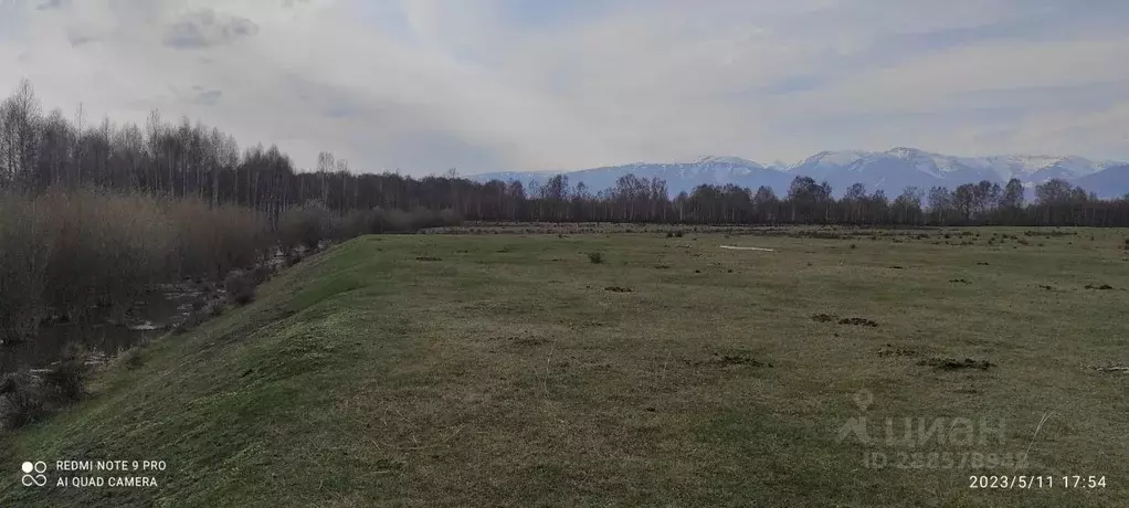 Участок в Алтай, Усть-Коксинский район, с. Горбуново  (20.0 сот.) - Фото 1