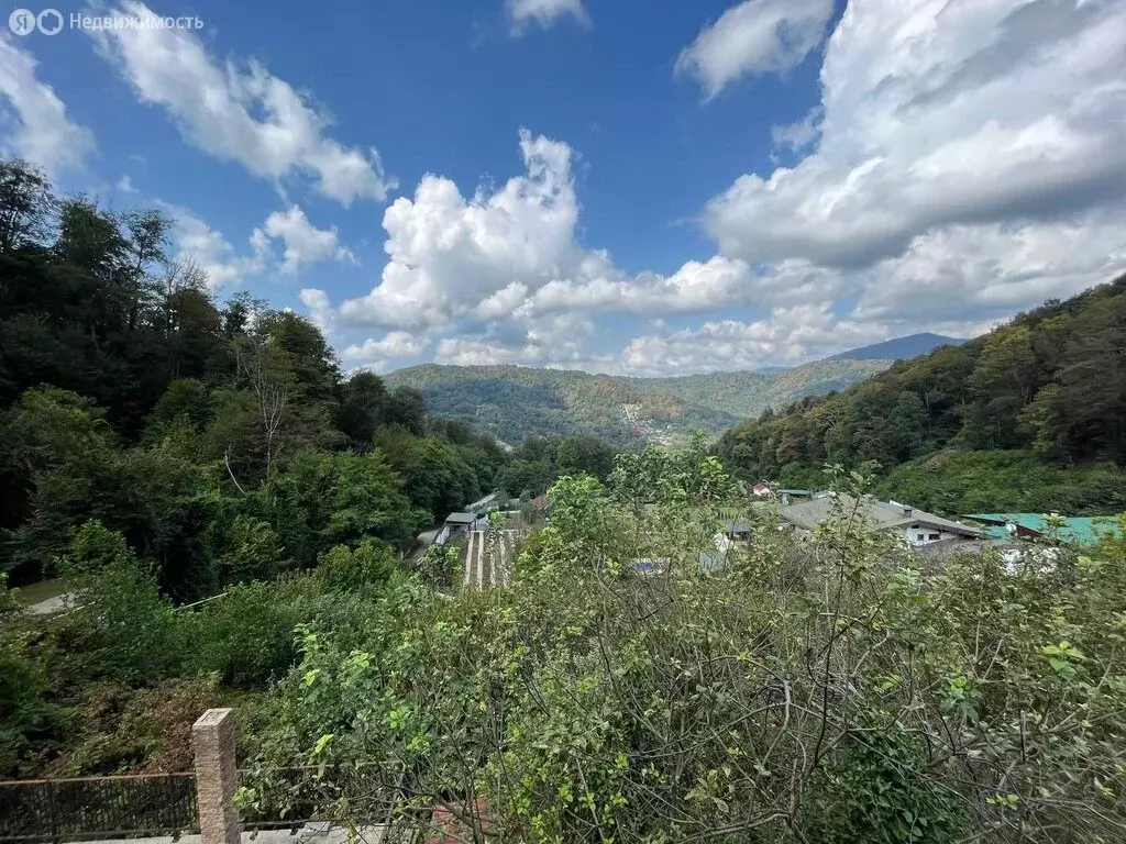 Участок в Краснодарский край, городской округ Сочи, село Лесное (9.4 ... - Фото 2