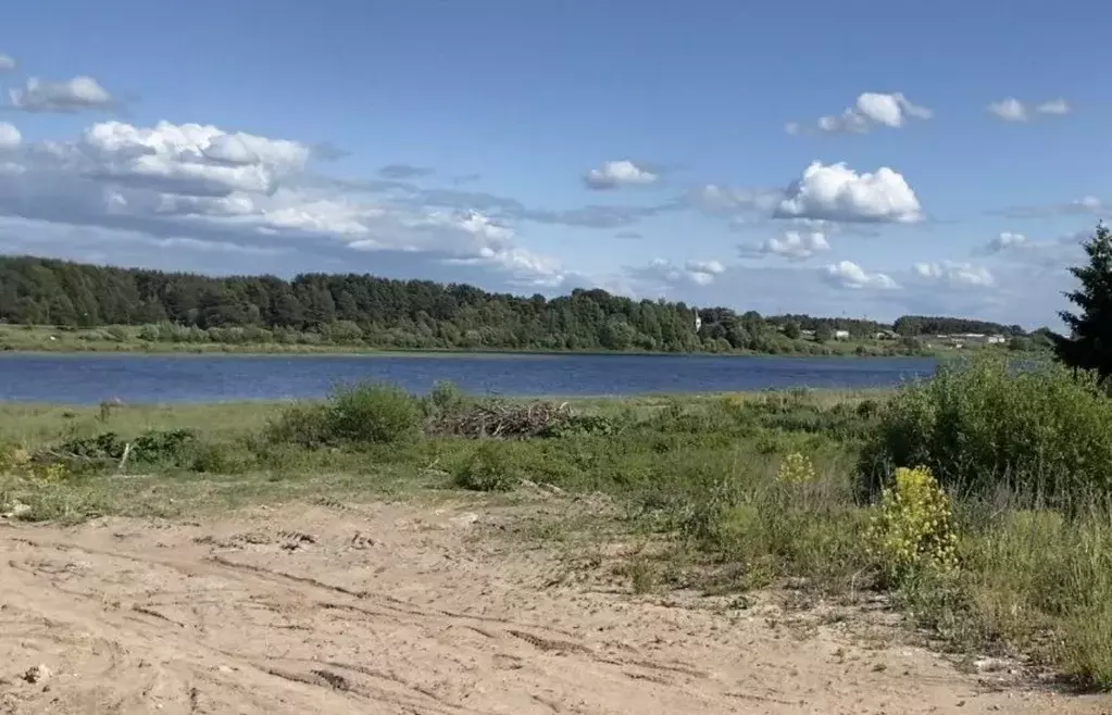 Участок в Псковская область, Псковский район, Тямшанская волость, д. ... - Фото 2