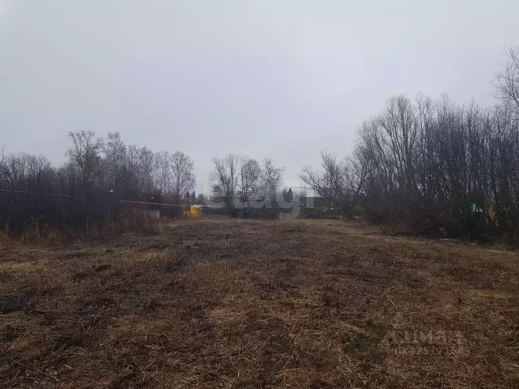 Участок в Марий Эл, Новоторъяльский район, д. Чуксола Набережная ул. ... - Фото 1