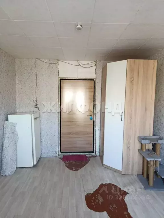 Комната Новосибирская область, Новосибирск Затулинский жилмассив, ул. ... - Фото 2