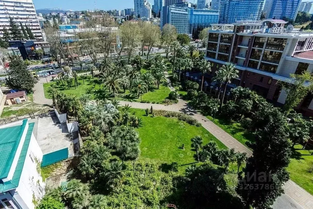 2-к кв. Краснодарский край, Сочи Центральный мкр, ул. Несебрская, 14 ... - Фото 2