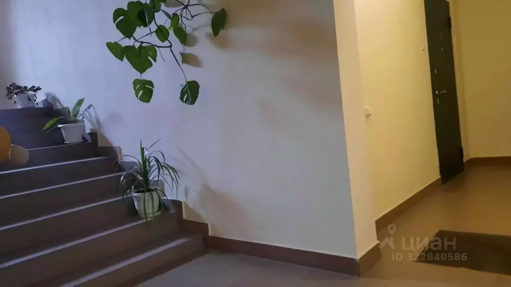 4-к кв. Кабардино-Балкария, Нальчик Московская ул., 12к3 (137.0 м) - Фото 2