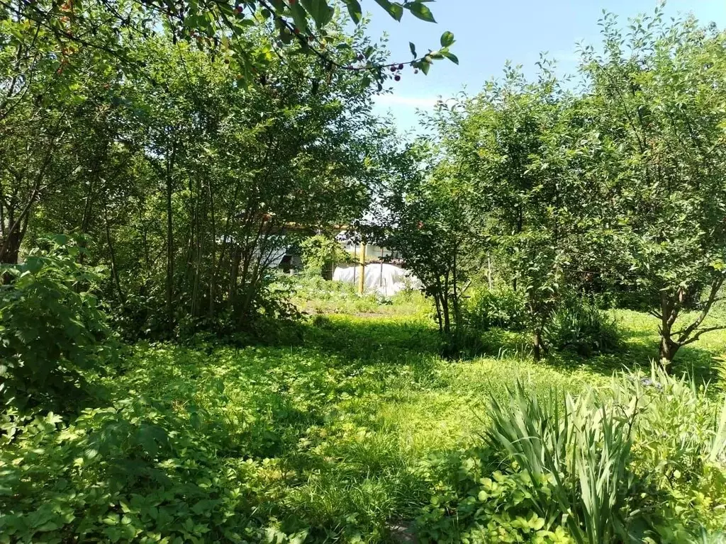 Дом в Владимирская область, Суздальский район, Павловское ... - Фото 2