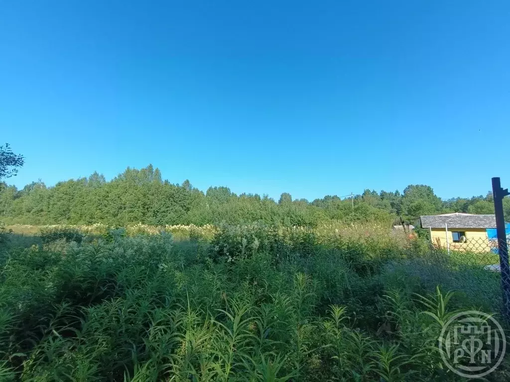 Участок в Ленинградская область, Выборгский район, Рощинское городское ... - Фото 0