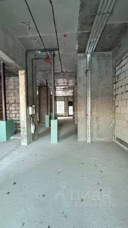 Помещение свободного назначения в Москва ул. Трехполье, 6к1 (230 м) - Фото 2