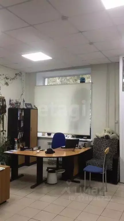 Помещение свободного назначения в Новосибирская область, Новосибирск ... - Фото 1