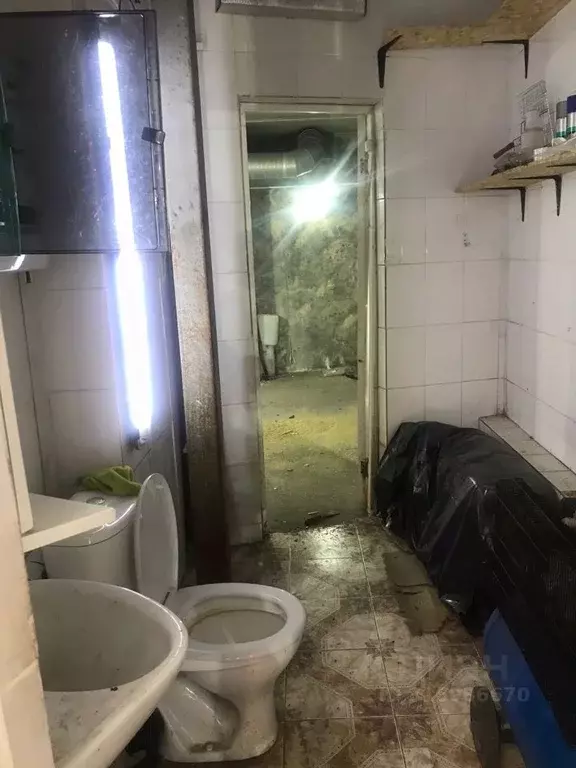 Помещение свободного назначения в Московская область, Люберцы Новая ... - Фото 1