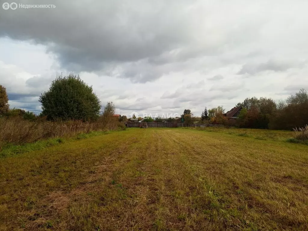 Участок в Московская область, муниципальный округ Луховицы, село ... - Фото 1
