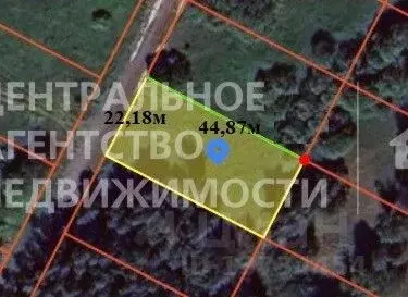 Участок в Рязанская область, Рязанский район, Дубровическое с/пос, д. ... - Фото 2