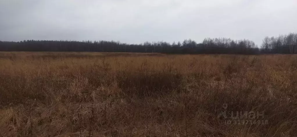 Участок в Московская область, Шатура  (14.6 сот.) - Фото 1