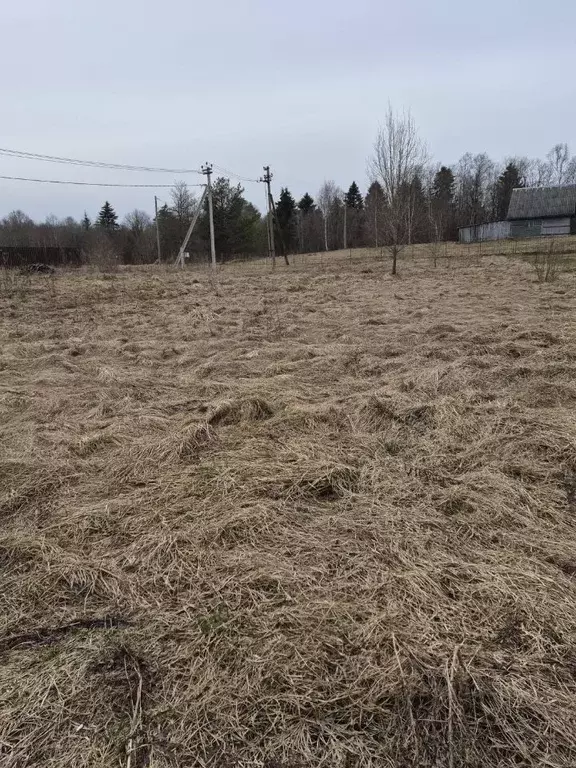 Участок в Ленинградская область, Гатчинский муниципальный округ, д. ... - Фото 1