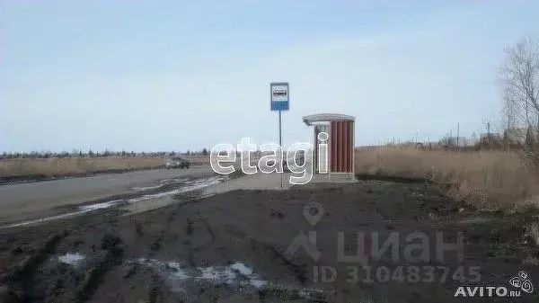 Участок в Омская область, Омск СОСН Аэрофлот тер., аллея 21-я (6.0 ... - Фото 1