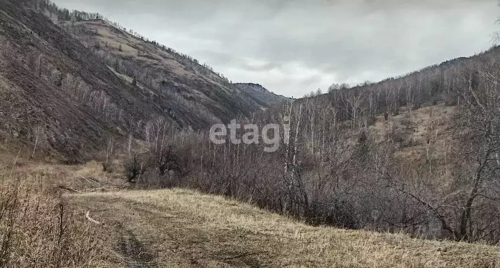 Участок в Алтай, Чемальский район, с. Чемал  (65.0 сот.) - Фото 0