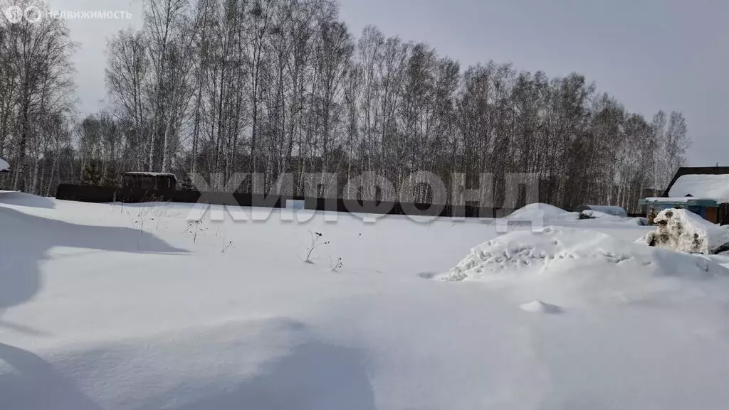 Участок в Станционный сельсовет, село Новокаменка, ДНТ Удачный, ... - Фото 1