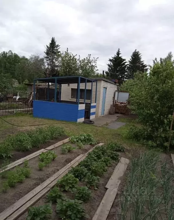 Дом в Омская область, Омск СОСН Юбилейный тер., аллея 4-я (65 м) - Фото 2