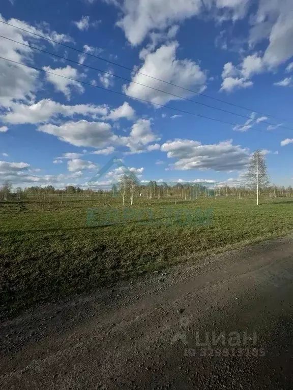 Участок в Новосибирская область, Новосибирский район, Плотниковский ... - Фото 2
