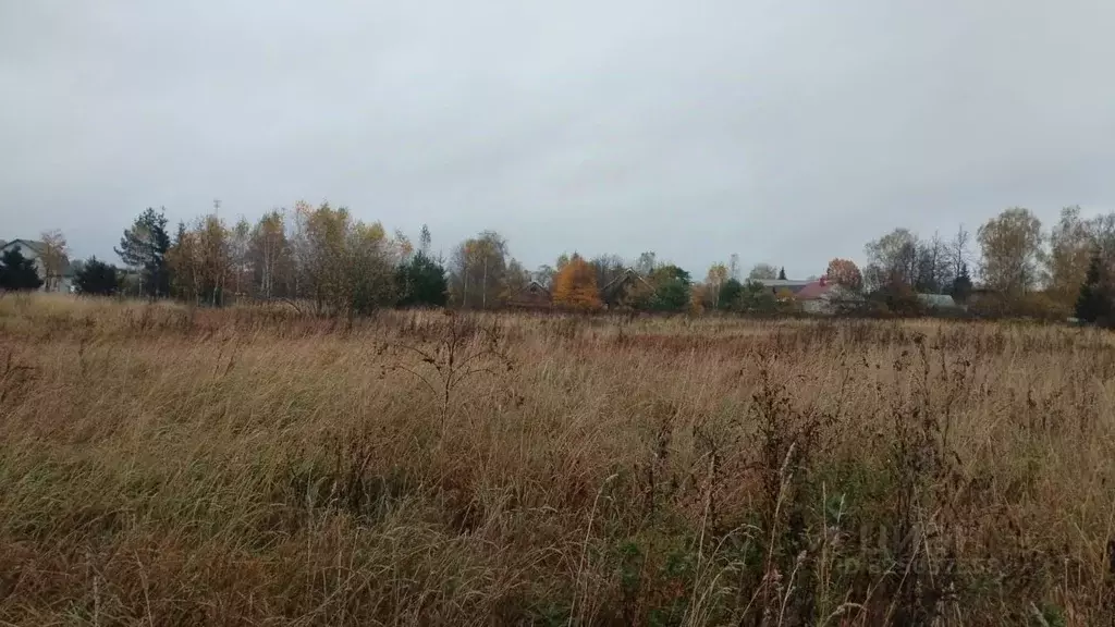 Участок в Московская область, Можайский муниципальный округ, д. ... - Фото 1