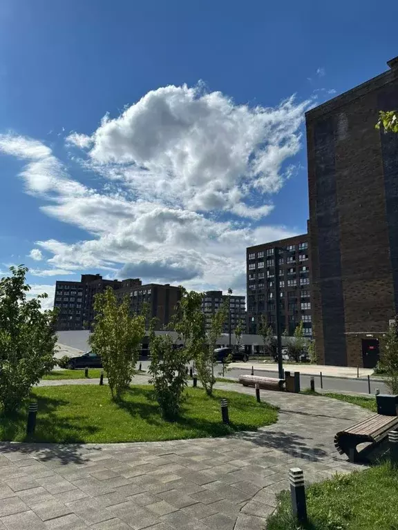 Помещение свободного назначения в Адыгея, Майкоп ул. К.А. Васильева, ... - Фото 0