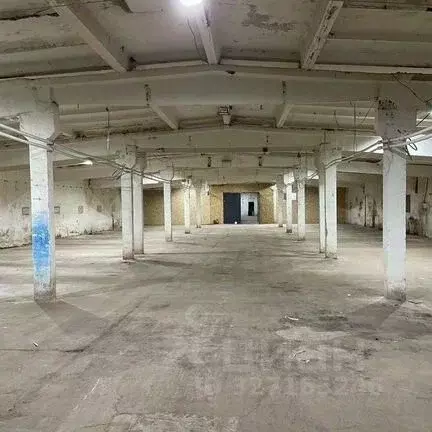 Помещение свободного назначения в Московская область, Одинцовский ... - Фото 1