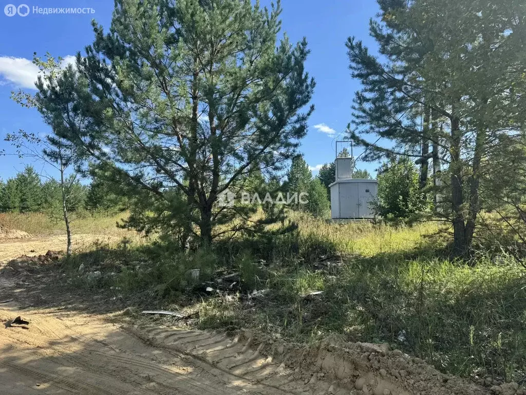 Участок в посёлок Николаевский, СНТ Ручеёк, Дорожная улица (8 м) - Фото 2