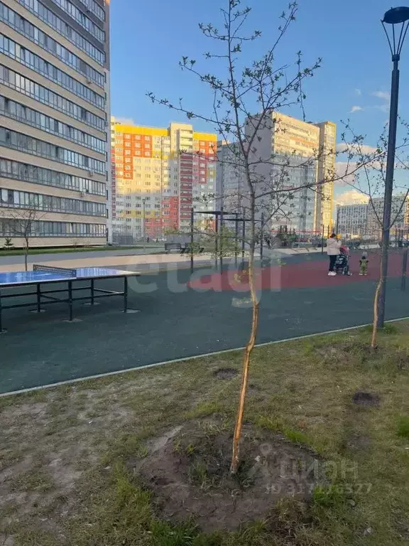 Студия Тюменская область, Тюмень ул. Новоселов, 109 (27.0 м) - Фото 0