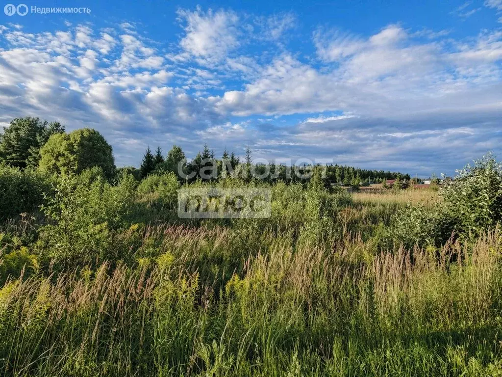 Участок в Московская область, Можайский муниципальный округ, деревня ... - Фото 1