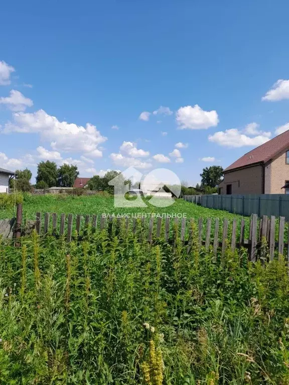 Участок в Новосибирская область, Новосибирский район, с. Криводановка ... - Фото 1
