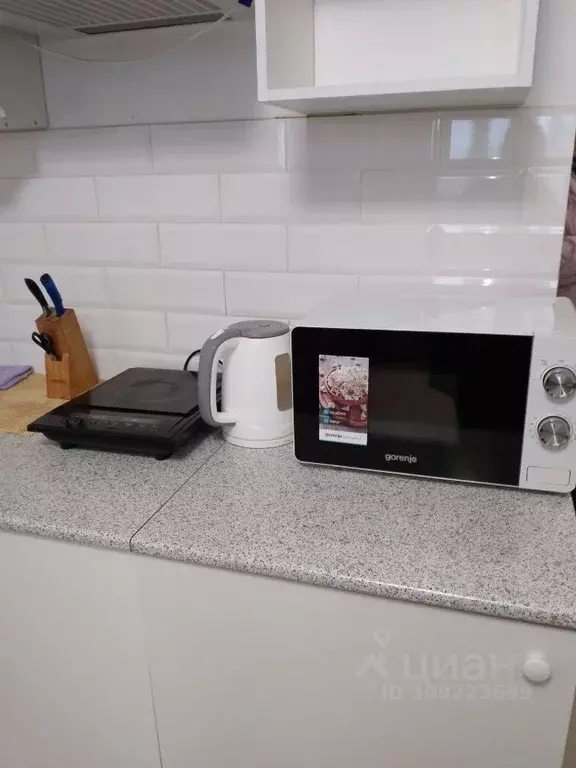 Студия Пензенская область, Пензенский район, Засечный сельсовет, с. ... - Фото 2