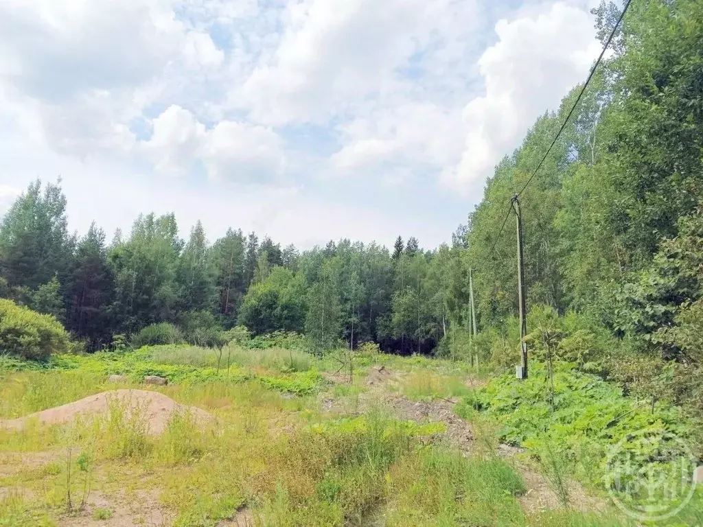 Участок в Ленинградская область, Выборгский район, пос. Красносельское ... - Фото 2