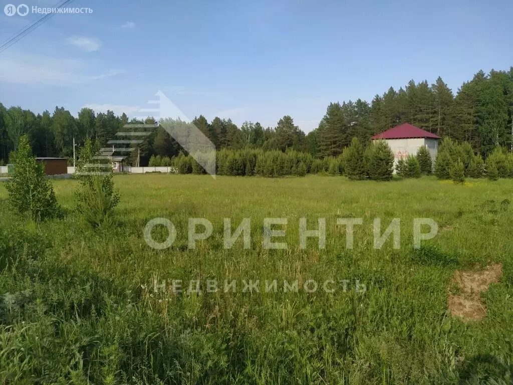 Участок в Свердловская область, Берёзовский муниципальный округ, ... - Фото 2