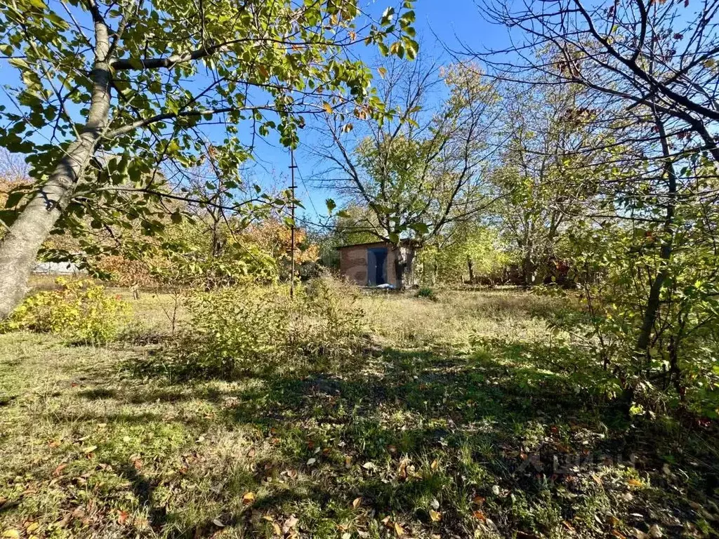 Участок в Ростовская область, Новочеркасск № 11 Станкостроитель ... - Фото 1