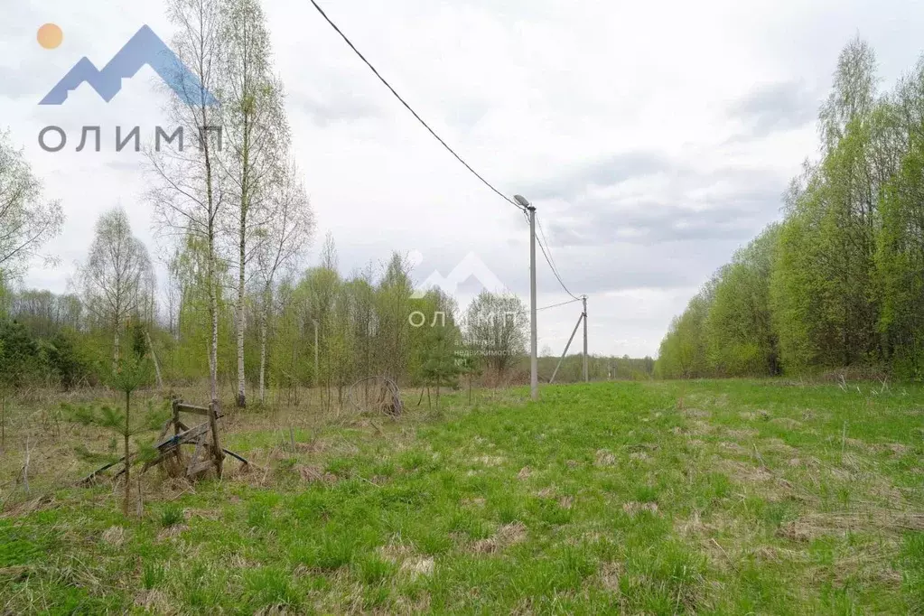 Участок в Вологодская область, Шекснинский муниципальный округ, ... - Фото 1