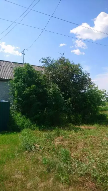 Помещение свободного назначения в Курганская область, Кетовский ... - Фото 1