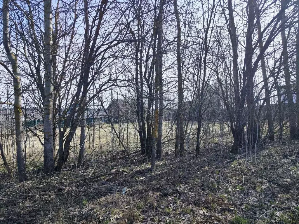 Участок в Московская область, Солнечногорск городской округ, д. ... - Фото 2