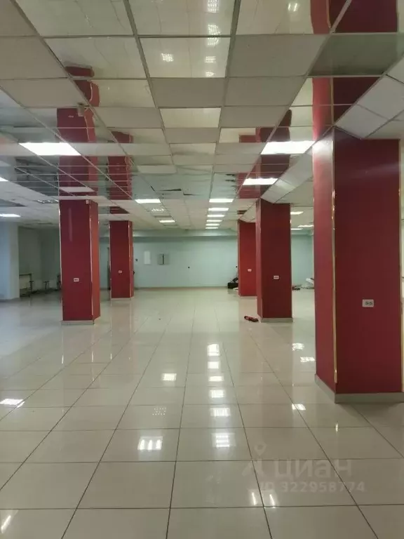 Помещение свободного назначения в Алтайский край, Барнаул ... - Фото 2