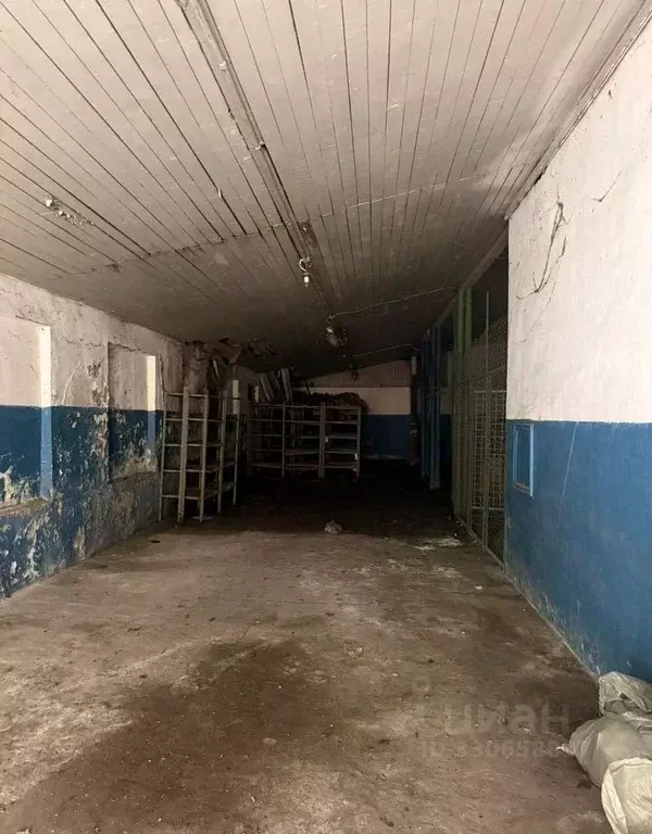 Помещение свободного назначения в Краснодарский край, Сочи Лазаревское ... - Фото 1