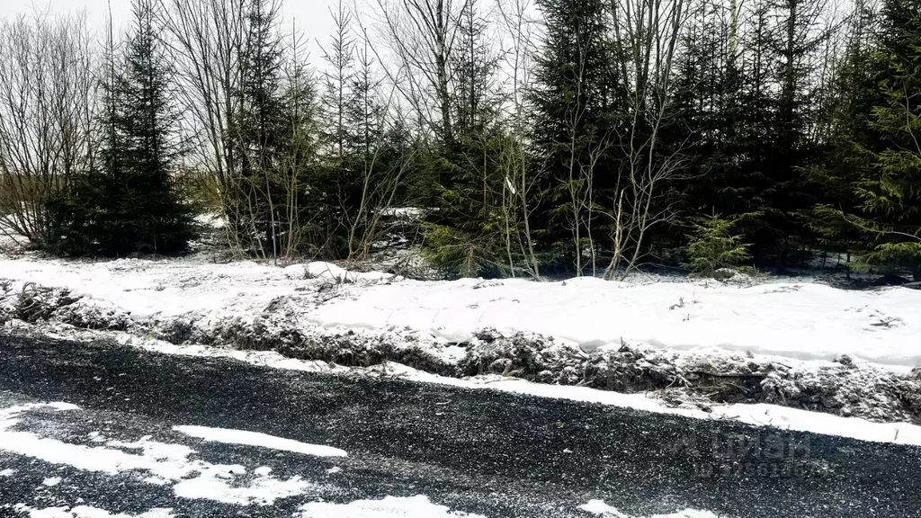 Участок в Московская область, Яхрома Дмитровский муниципальный округ, ... - Фото 2