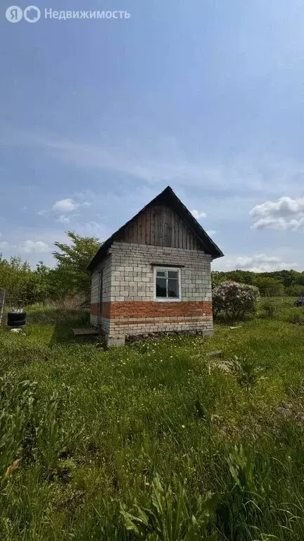 Участок в Уссурийск, Курская улица, 13 (12 м) - Фото 0