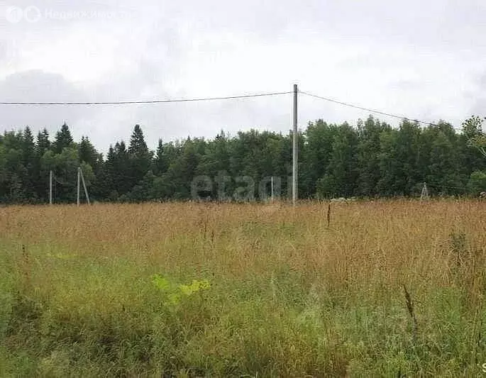 Участок в деревня Загваздина, Молодёжная улица (10 м) - Фото 1